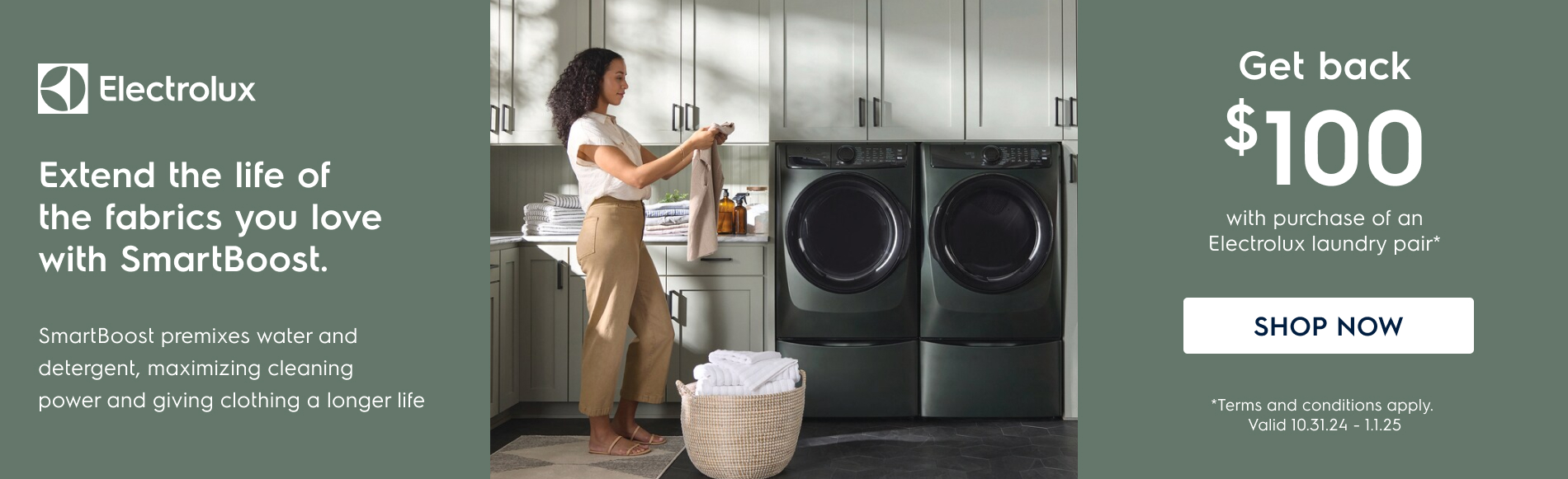 Electrolux Laundry Pair